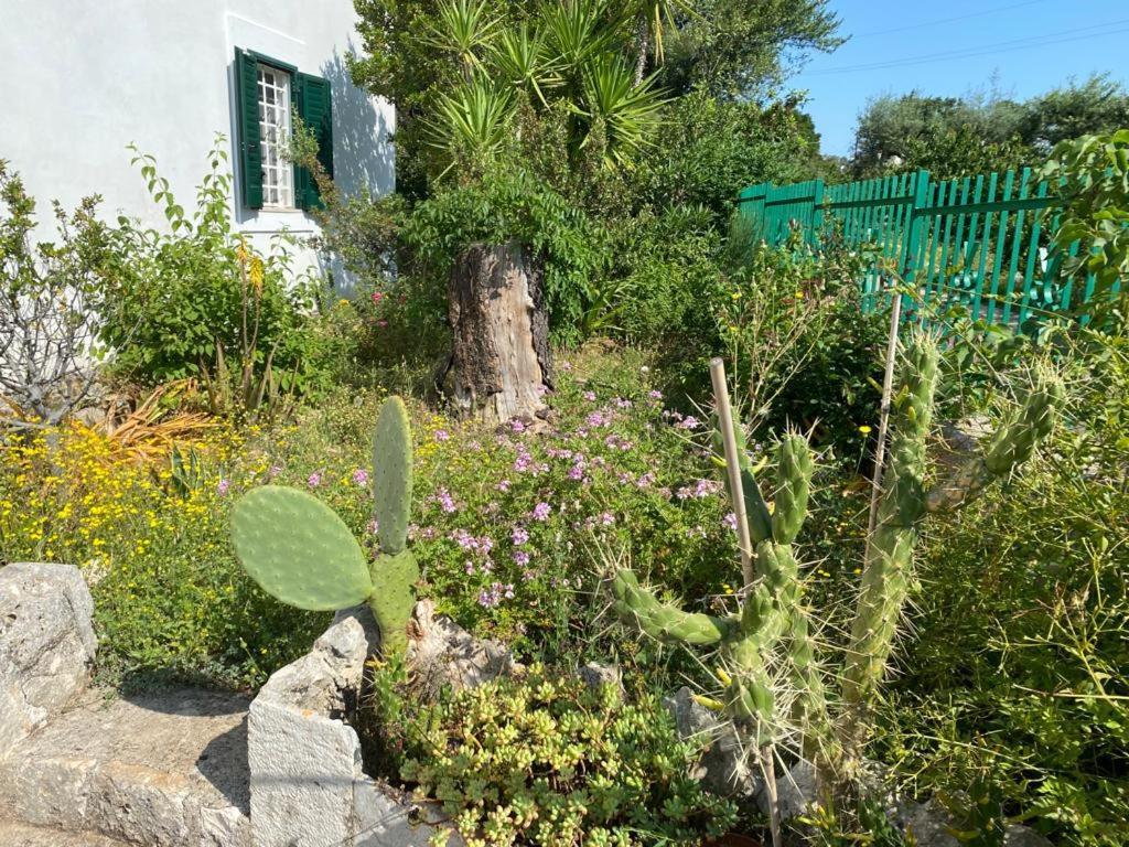 Casa Gianre Guest House Monopoli Exterior photo